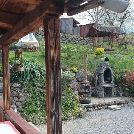 Ocna de Sus Meselakヴィラ エクステリア 写真